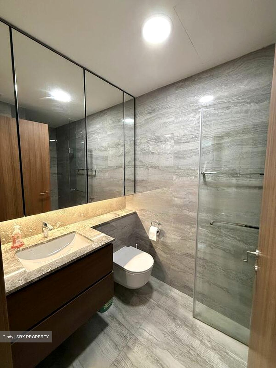Fourth Avenue Residences (D10), Apartment #477279991